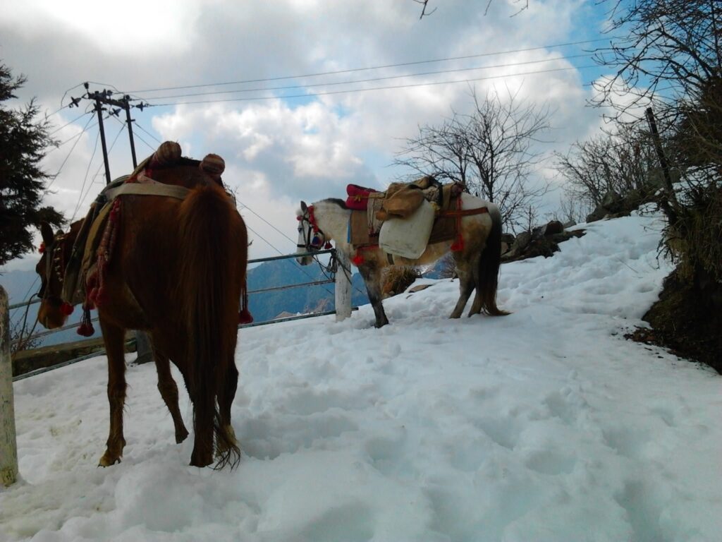 Surkanda devi mandir Trekking