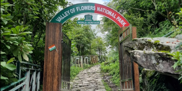Valley of flower